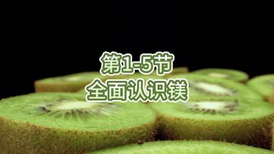 第1-5节-全面认识镁