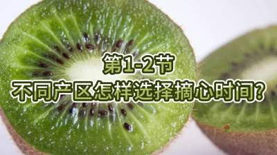 第1-2节-不同产区怎样选择摘心时间？