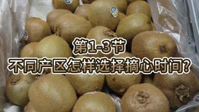 第1-3节-不同产区怎样选择摘心时间？