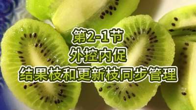第2-1节-外控内促，结果枝和更新枝同步管理