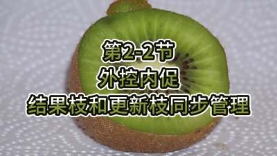 第2-2节-外控内促，结果枝和更新枝同步管理