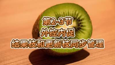 第2-3节-外控内促，结果枝和更新枝同步管理