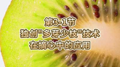 第3-1节-独创&ldquo;多芽少枝&rdquo;技术在摘心中的应用