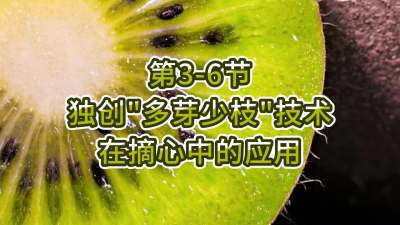 第3-6节-独创&ldquo;多芽少枝&rdquo;技术在摘心中的应用