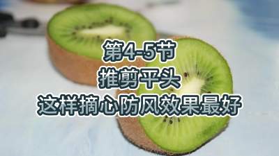 第4-5节-推剪平头-这样摘心防风效果最好