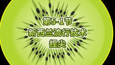 第5-1节-新西兰流行技术-捏尖