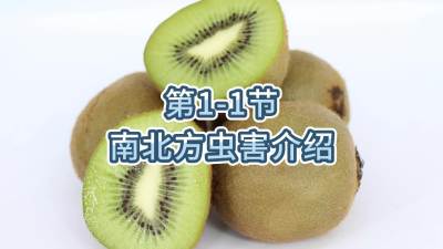 第1-1节-南北方虫害介绍