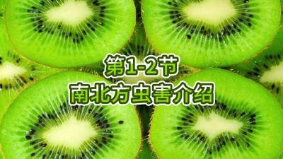 第1-2节-南北方虫害介绍
