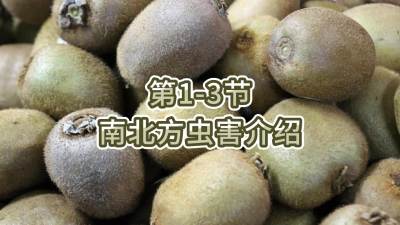 第1-3节-南北方虫害介绍