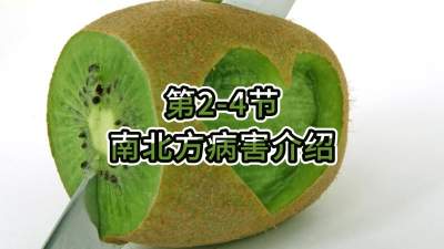 第2-4节-南北方病害介绍