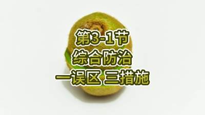 第3-1节-综合防治-一误区 三措施