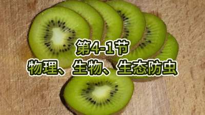 第4-1节-物理、生物、生态防虫