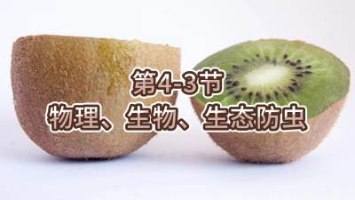 第4-3节-物理、生物、生态防虫