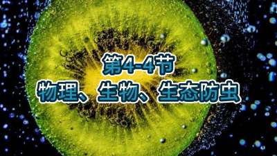 第4-4节-物理、生物、生态防虫