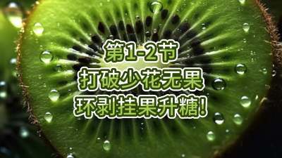 第1-2节-打破少花无果，环剥挂果升糖！