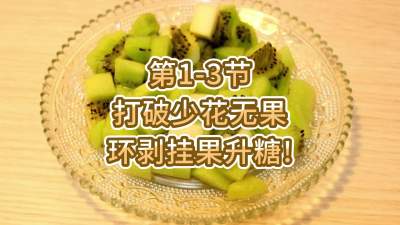 第1-3节-打破少花无果，环剥挂果升糖！