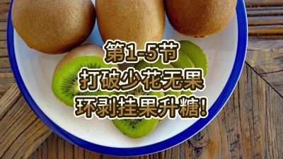 第1-5节-打破少花无果，环剥挂果升糖！