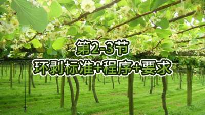 第2-3节-环剥标准+程序+要求