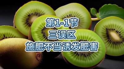 第1-1节-三误区-施肥不当诱发肥害