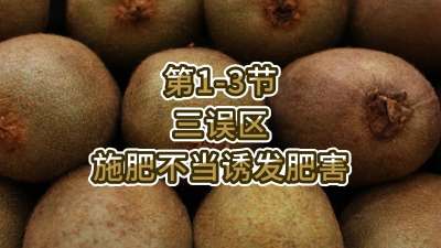 第1-3节-三误区-施肥不当诱发肥害