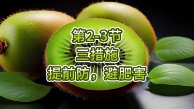 第2-3节-三措施-提前防，避肥害