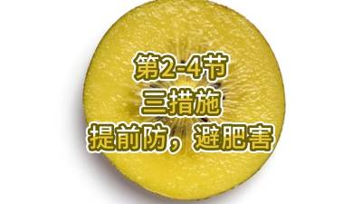 第2-4节-三措施-提前防，避肥害
