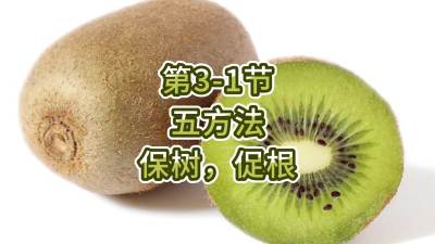 第3-1节-五方法-保树，促根