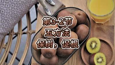 第3-2节-五方法-保树，促根