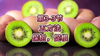 第3-3节-五方法-保树，促根