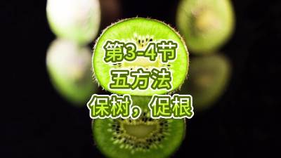第3-4节-五方法-保树，促根