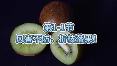 第1-1节-风害不防，折枝落果！