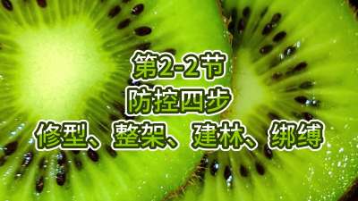 第2-2节-防控四步-修型、整架、建林、绑缚