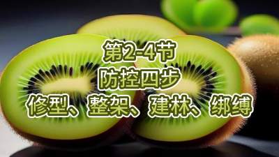 第2-4节-防控四步-修型、整架、建林、绑缚