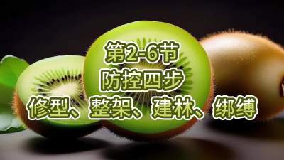 第2-6节-防控四步-修型、整架、建林、绑缚