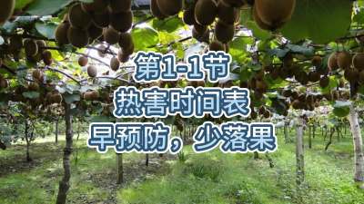 第1-1节-热害时间表-早预防，少落果