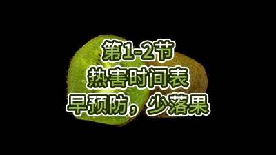 第1-2节-热害时间表-早预防，少落果
