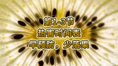 第1-3节-热害时间表-早预防，少落果