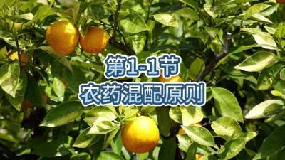 第1-1节-农药混配原则