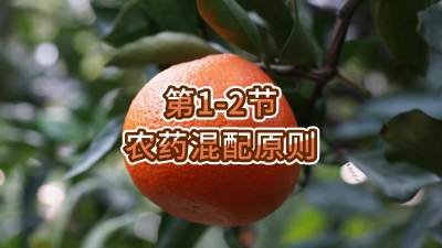 第1-2节-农药混配原则