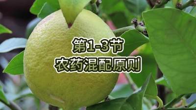 第1-3节-农药混配原则