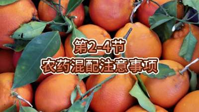 第2-4节-农药混配注意事项