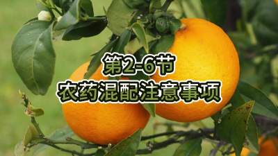 第2-6节-农药混配注意事项