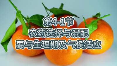 第4-1节-农药选择与混配要与生理期及气侯适应