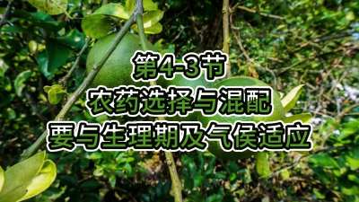 第4-3节-农药选择与混配要与生理期及气侯适应