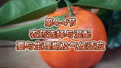 第4-4节-农药选择与混配要与生理期及气侯适应