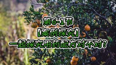 第6-1节-【案例探究】一起探究用药配方对不对？