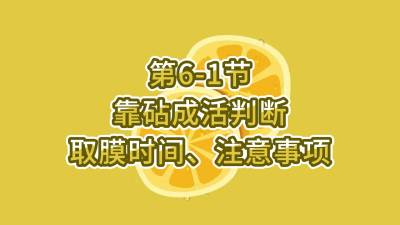 第6-1节-靠砧成活判断、取膜时间、注意事项