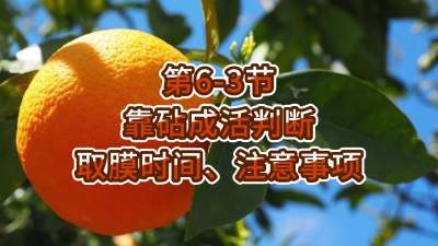 第6-3节-靠砧成活判断、取膜时间、注意事项