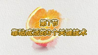 第7节-靠砧成活的3个关键技术