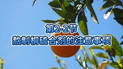第2-2节-熬制桐硫合剂的注意事项